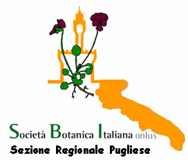 logo-SBI-puglia.jpg