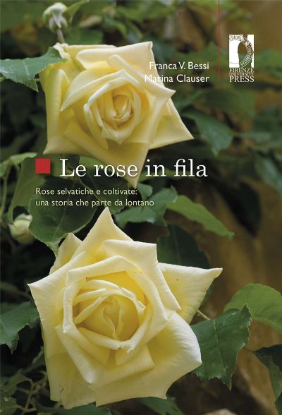 Le_rose_in_fila.jpg